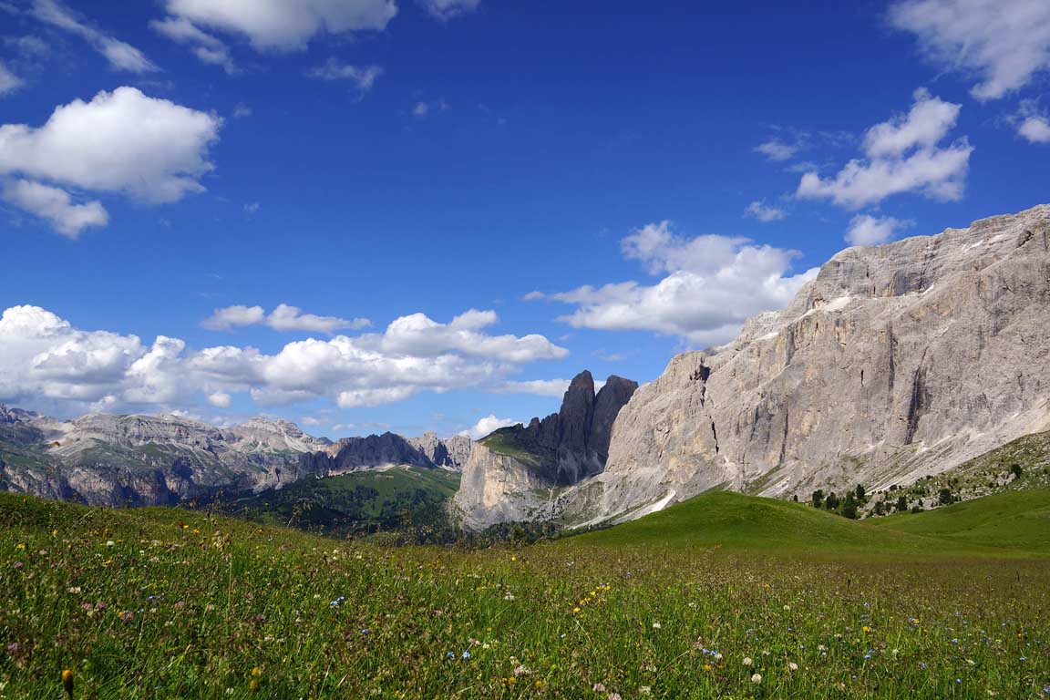 Dolomites Unesco - Flower meadow on the Passo Sella