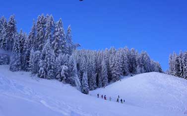 New Year ski holidays